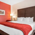 Hotel Comfort & Near Stadium