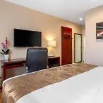 The L 3* New York