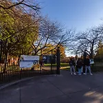 Cozy Shack 1 Bedroom Studio With Sofa And Full Kitchen In Elmhurst Ny