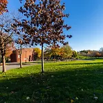 Apartment Cozy Shack 1 Bedroom Studio With Sofa And Full Kitchen In Elmhurst Ny New York