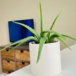 “Beautiful Space” 10 Mtos Airport Jfk The Beach