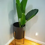 4 Bed Luxury Apt Long Or Short Apartment