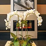The At Fifth Avenue 3*