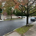 Apartment Morris Park Area New York