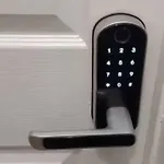 Quiet Double Room In Williamsburg Ground Floor Apartment Near Subway