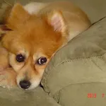 Men House Jfk Airport