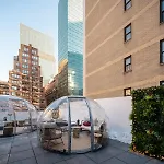 Little Charlie Hotel New York