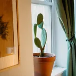Homestay Private With Private Bathroom And Backyard New York