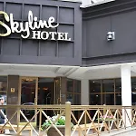 The Skyline Hotel New York