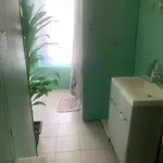 Apartment Cassandra's Private Getaway Heart Of Brooklyn New York