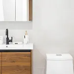 Apartment 149bk-202 New 1br In Prime Greenpoint Bk New York