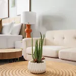 73-1104 New Studio Uws Doorman Gym