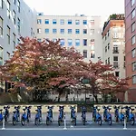 Apartment Chelsea 1br W Doorman Gym Nr Union Square Nyc-1240 New York