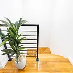 13-3 I Brand New 4br 3 Baths Duplex Private Roof Deck *