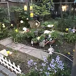 Explore New York From Queens