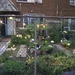 Explore New York From Queens