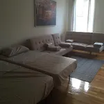 Large One Bedroom With Cozy Backyard