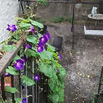 Central & Affordable Williamsburg Private Bedroom Close To Subway