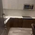 Apartment Luxury 2 Bd Unit In Financial District New York