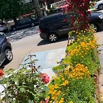 Cheerful 2 Bed Rooms Apartment In Heart Of Queens