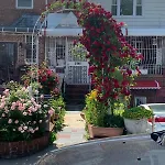 Cheerful 2 Bed In Heart Of Queens New York