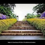 Funky Pre-War Town House