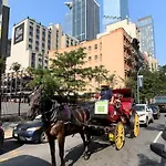 Al Shami 408 New York