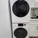 Modern Oasis 1