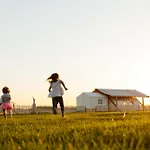 Collective Retreats Governors Island Hotel New York