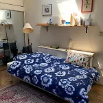 Airy Brownstone Penthouse Duplex Near Central Park