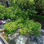 Little Manhattan Near Time Square