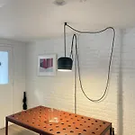 Williamsburg Design Apartment New York