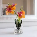 Apartment Finest Luxury 1 Bedroom