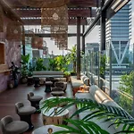 Coda Williamsburg
