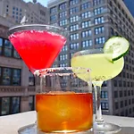 Giraffe By Library Collection 4* New York