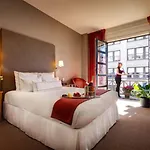 Giraffe By Library Collection New York