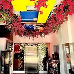 Umbrella Hotel Bronx