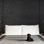 Ace Hotel 4*