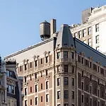 Ace New York