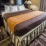 Inn Rodeway Bronx Zoo