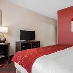 Hotel Comfort & Near Stadium 4*