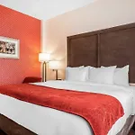 Hotel Comfort & Near Stadium