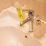 Phoenix Hotel Brooklyn Sunset Park (Adults Only) 2* New York