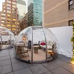Little Charlie New York