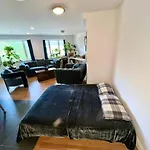 1 Bedroom With Sleeping In Living Williamburg Apartment New York