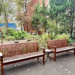 Brooklyn Brownsville Bomber