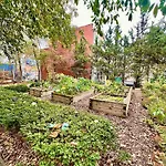 Brooklyn Brownsville Bomber