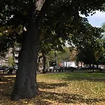 Brooklyn Beautiful * New York