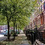 Brooklyn Beautiful *