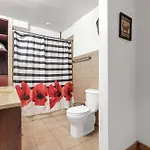 Apartment Brooklyn Beautiful New York